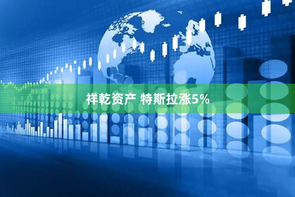 祥乾资产 特斯拉涨5%